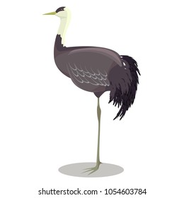 Hooded crane cartoon