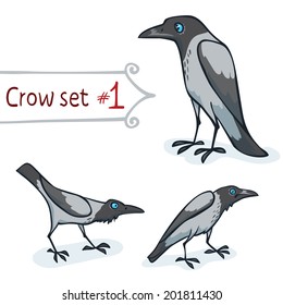 Hooded crow character design set number 1. Vector illustration, EPS 10. Contains transparent objects