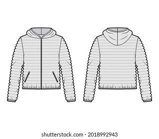 Hooded jacket Down puffer coat technical fashion illustration with long sleeves, zip-up closure, pockets, narrow quilting. Flat template front, back grey color style. Women, men, unisex top CAD mockup