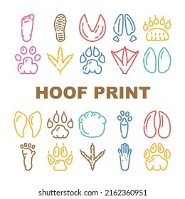 Hoof Print Animal, Bird And Human Shoe Set Vector. People Footprint And Elephant Hoof Print, Deer And Bear, Horse And Tiger, Chicken And Mouse. Mammal Sheep Paw Color Illustrations