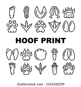 Hoof Print Animal, Bird And Human Shoe Set Vector. People Footprint And Elephant Hoof Print, Deer And Bear, Horse And Tiger, Chicken And Mouse. Mammal Sheep Paw Black Contour Illustrations