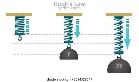 La ley de Hooke. En los ganchos, la cantidad de fuerza aplicada a un objeto elástico es proporcional a la distancia que se estira. Diagrama flexible de resortes de física en espiral de metal. Ilustración vectorial