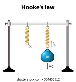 Hooke's law. law of elasticity. for relatively small deformations of an object, the displacement or size of the deformation is directly proportional to the deforming force or load.