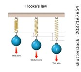 Hooke's law. the force is proportional to the extension. from a Thin wire to a Thick wire. vector illustration