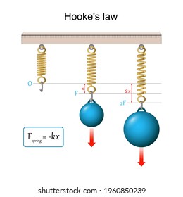 Hookes Law Force Proportional Extension Physical Stock Vector (Royalty ...