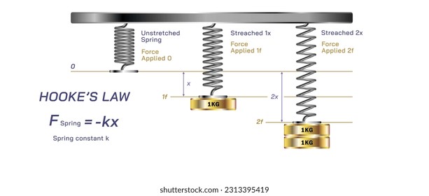 Hooke's law gives the relationship between the force applied to an unstretched spring and the amount the spring is stretched. Students physics study material vector illustration.  