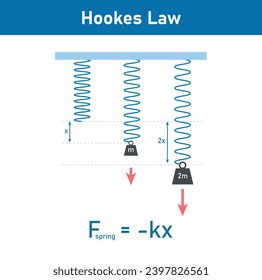 Hooke's law  in physics. Spring force weight equation. Scientific resources for teachers and students.