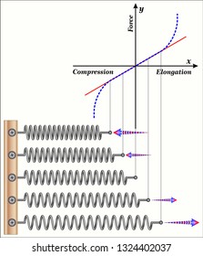 Hooke's Law For Spring
