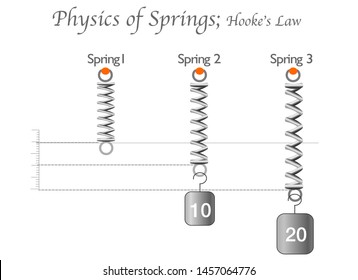 Física de los resortes. Hooke está bajo. Muelles flexibles de espiral metálica. Flexión de tres resortes en peso. Fondo blanco. Gráfico gráfico de educación física. Ilustración de dibujo. vectorial,