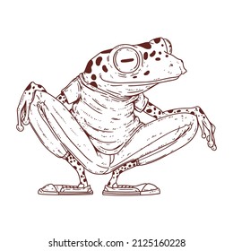 A hooligan frog, outline vector illustration. A calm anthropomorphic frog sitting on his haunches and observing what is happening. Sketch-drawn humanized toad. An animal character with a human body.