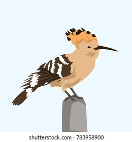 Hoop Oe Bird Vector Illustration