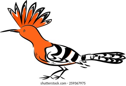 Hoopoe