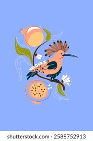 Hoopoe avian  songbird among  pomegranate, fruits 