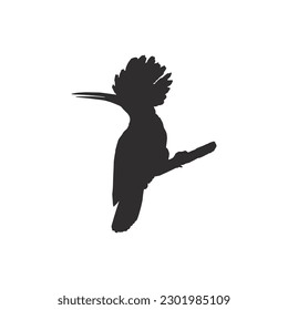 Hoopoe bird black silhouette vector on a white background