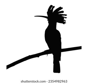 Hoopoe bird black silhouette vector on a white background.