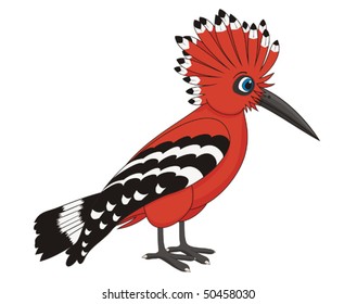 Hoopoe bird cartoon vector illustration