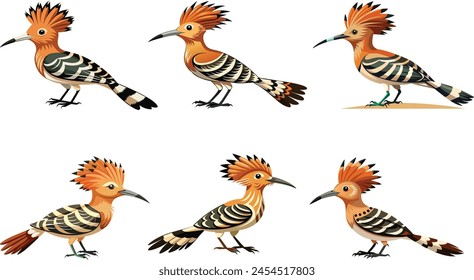 hoopoe bird different style vector artwork illustration