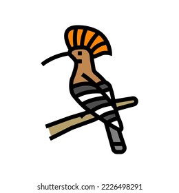 hoopoe bird exotic color icon vector. hoopoe bird exotic sign. isolated symbol illustration