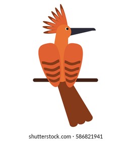 hoopoe bird exotic icon