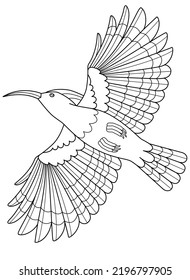 Hoopoe, Bird In Flight, Bottom View - Vector Linear Picture For Coloring. Outline. Eurasian Hoopoe, A Colorful Bird With A Crest For A Coloring Book.