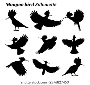 Hoopoe bird silhouette vector illustration set