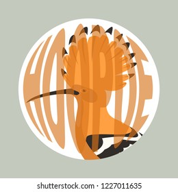 hoopoe bird  vector illustration flat style profile view