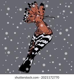 Hoopoe bird in winter under snowflakes. Upupa epops. Hand drawn colorful rough sketch. Isolated vector illustration. On gray background.