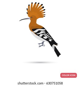 Hoopoe color flat icon for web and mobile design