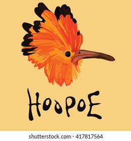 hoopoe isolated head, exotic bird