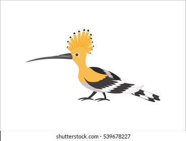 Hoopoe isolated on white background. Exotic bird. Vector illustration