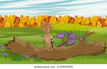 Una abubilla se sienta en un Iniciar sesión en un prado cerca de un bosque otoñal brillante. Fauna de Europa, Asia y África. Paisaje de Vector realista.