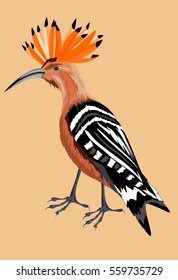 Hoopoe vector illustration