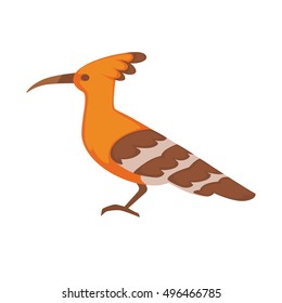 Hoopoe Vector image isolated on white background.