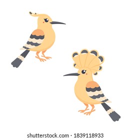 Hoopoes set, vector illustration on the white background