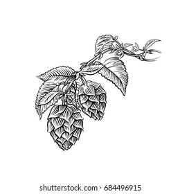 Hop