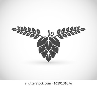 Hop and barley, brewery symbol vector
