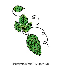 Hop branch, emblem, label badge logo. Drawn by hands. Colorful vector illustration.