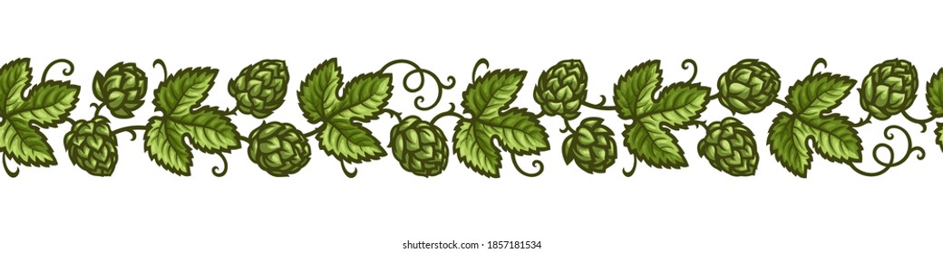 Hop branches with green cones and leaves seamless border. Brewery, beer festival, bar, pub design elements in vintage engraving style. Hand drawn vector illustration isolated on white background. 