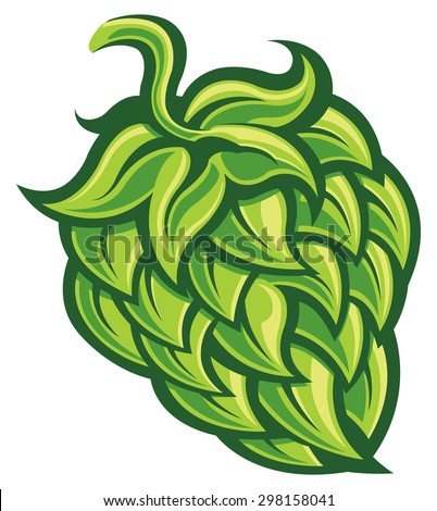 Hop cone
