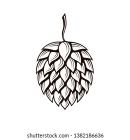 hop cone icon for brewing isolated on white background