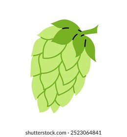 Cono de salto. Un ingrediente para hacer cerveza. Una planta herbácea trepadora. Lúpulo. Ilustración sobre fondo blanco.