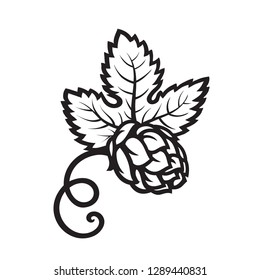 Hop cone with leaf icon. Hand drawn vector illustration isolated on white background. Brewery, beer festival, bar, pub design element.