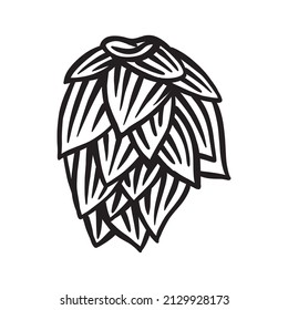 Hop cone - vector illustration Hand drawn