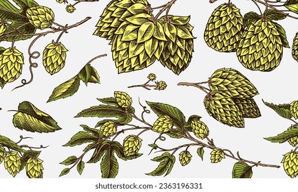 Hop cones and Barley. Malt Beer. Engraved vintage set. Hand drawn collection. Sketch for web or pub menu. Design elements isolated on white background.