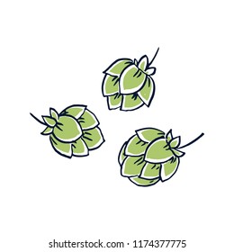 Hop cones vector icons isolated on white background. Hand-drawn colorful hops as ingredient for craft beer. Illustration for brewery, oktoberfest, botanical concepts or beer bars.