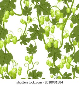 Hop. Dense branches overgrown with cones. Sagging shoots with leaves. Wild nature. Seamless pattern. Square isolated background illustration. Vector