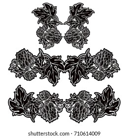 Hop element for beer illustration in engraving style isolated on white