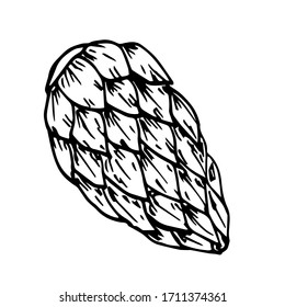 Hop emblem, label logo icon. Line art. Drawn by hands. Vector illustration