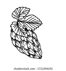 Hop emblem, label logo icon. Line art. Drawn by hands. Vector illustration