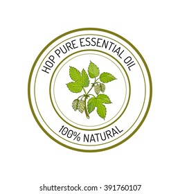 Hop, essential oil label, aromatic plant. Vector illustration